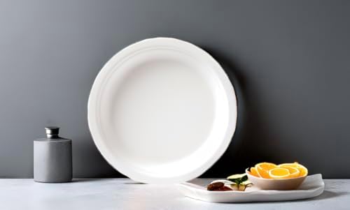 Susty Party 10-Inch Compostable Round Plates 50 Count