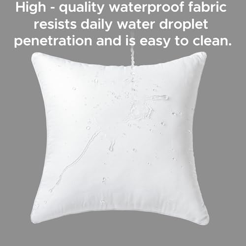 20 x 20 Waterproof Outdoor Pillow Inserts Set of 2