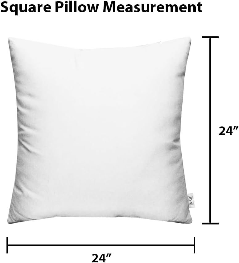 RSH Decor Sunbrella Square Throw Pillow Set of 2 24x24