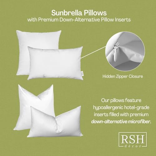 RSH Decor Sunbrella Square Throw Pillow Set of 2 24x24