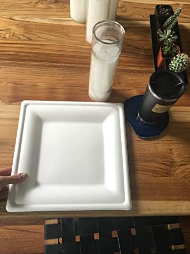 Susty Party 10-Inch Compostable Square Plates 50 Count