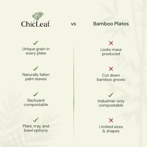 Chic Leaf Compostable Bamboo Plates 10 7 Inch Square