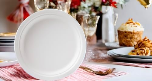 Susty Party 10-Inch Compostable Round Plates 50 Count