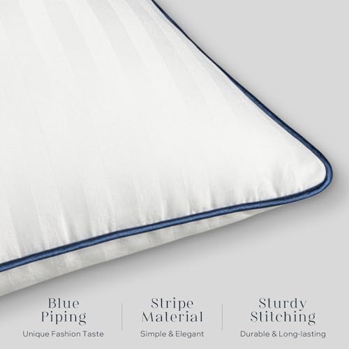 Phantoscope Waterproof Outdoor Pillow Inserts - Pack of 4 18x18 Inch