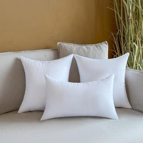 22 x 22 Outdoor Pillow Inserts Set of 4