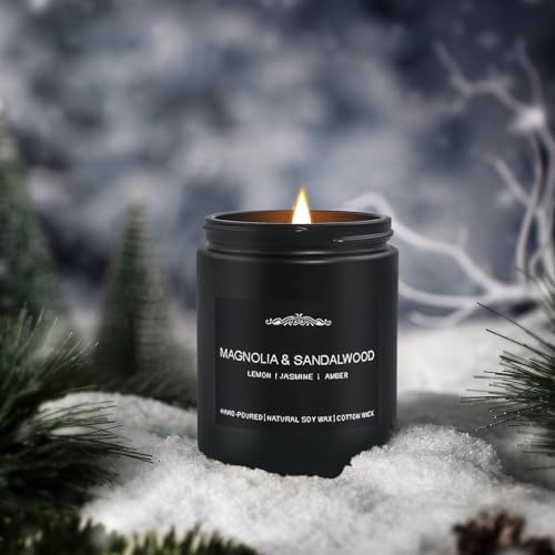 Feibao Men Scented Candle Set - 4 Pack Black Jar Candles
