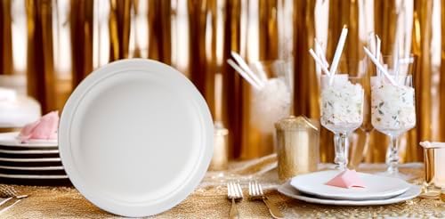 Susty Party 10-Inch Compostable Round Plates 50 Count