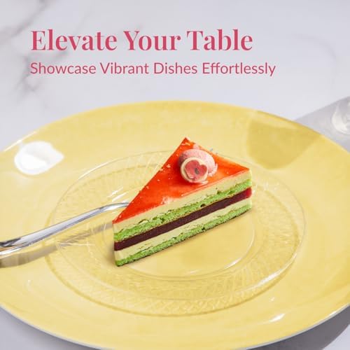 Prestee 100 Pack Clear Plastic Plates for Parties