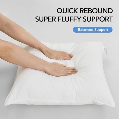 Deconovo Waterproof Outdoor Pillow Inserts Set of 2