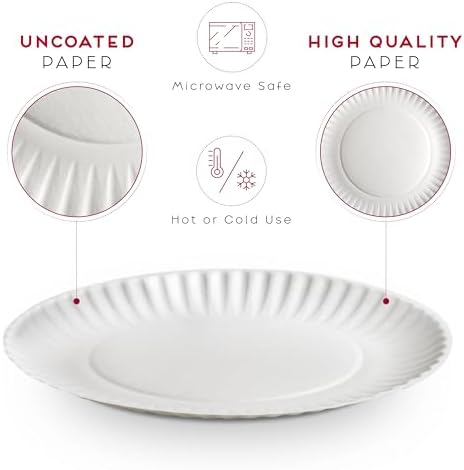 Alitte 9-Inch Disposable Paper Plates 500 Count Bulk Pack
