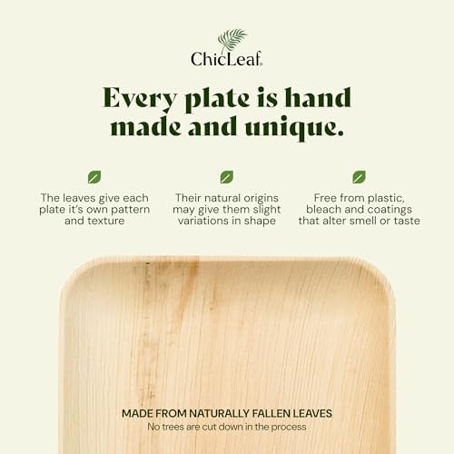 Chic Leaf Compostable Bamboo Plates 10 7 Inch Square