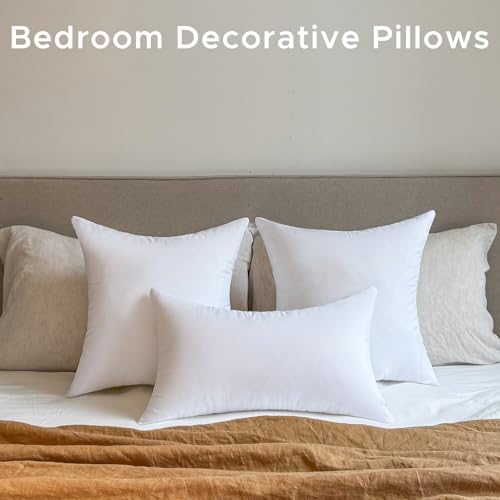 12 x 20 Outdoor Pillow Inserts Set of 4