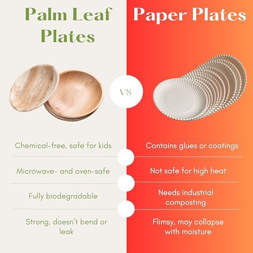 Naturally Chic Palm Leaf Plates 50-Pack 10 7 Inch Square