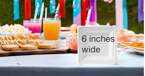 TAMRAN Susty Party 6 Inch Compostable Square Plates 50 Count