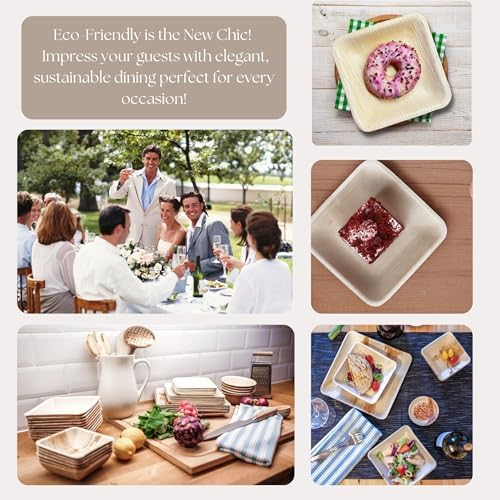 Naturally Chic Palm Leaf Plates 50-Pack 10 7 Inch Square