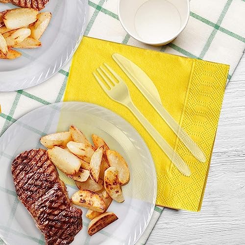 9 Inch Clear Plastic Plates 120 Pack by Framo