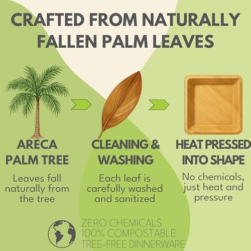 Naturally Chic Palm Leaf Plates 50-Pack 10 7 Inch Square