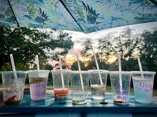 TashiBox 16 oz Plastic Cups with Flat Lids 100 Sets