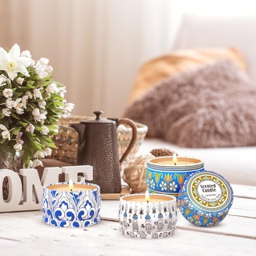 HILAYUN Scented Candles Gift Set 3-Pack Soy Wax Candles