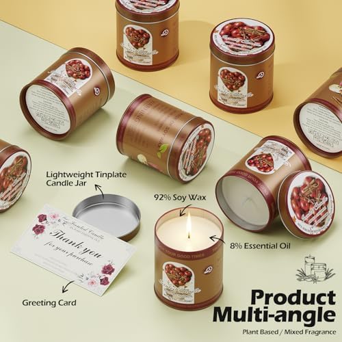 Apple Cinnamon Scented Candle Set 2 Pack