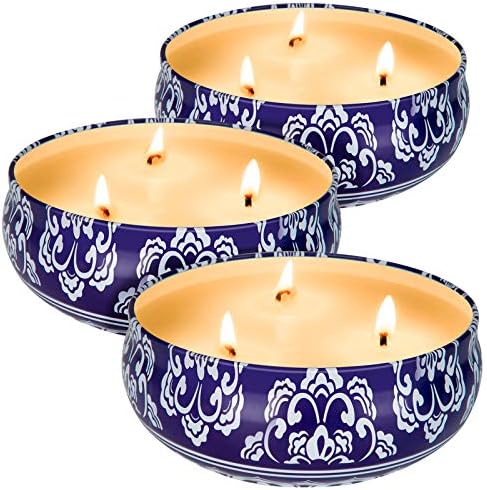 Hausware Citronella Candles 3 Pack Soy Wax Outdoor Indoor