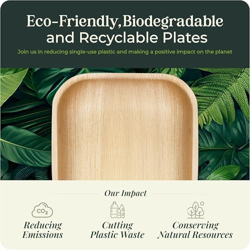 Koala Love Bamboo Paper Plates 10 Inch 7 Inch Eco Compostable