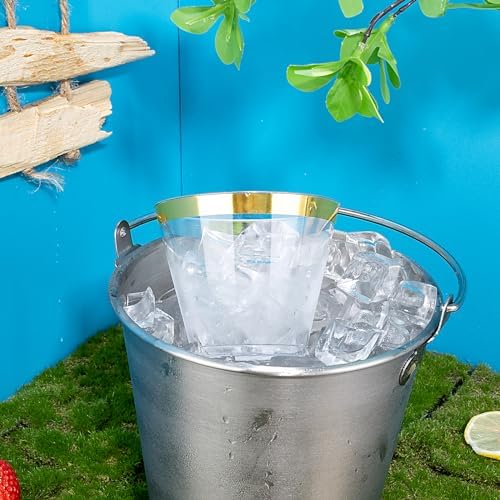 Hioasis 200Pcs 9OZ Clear Cups with Gold Trim