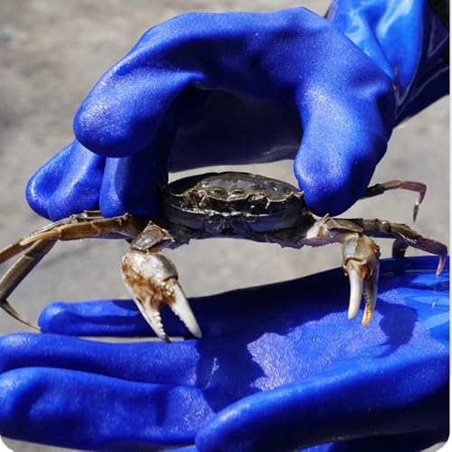 Qilerongrong Long Arm Waterproof Rubber Gloves for Household and Outdoor Use
