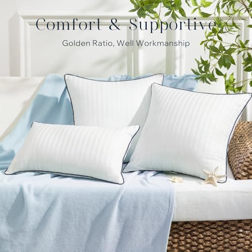 Phantoscope Waterproof Outdoor Pillow Inserts - Pack of 4 18x18 Inch