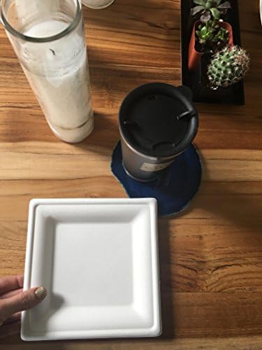 TAMRAN Susty Party 6 Inch Compostable Square Plates 50 Count