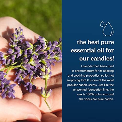 GoodLight Lavender Scented Candle 6oz Travel Tin