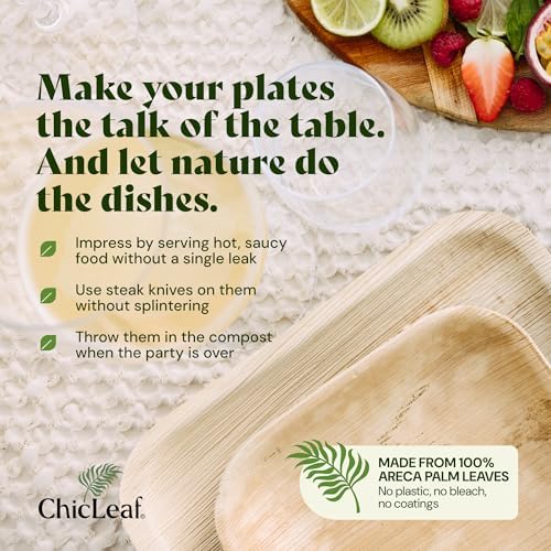 Chic Leaf Compostable Bamboo Plates 10 7 Inch Square