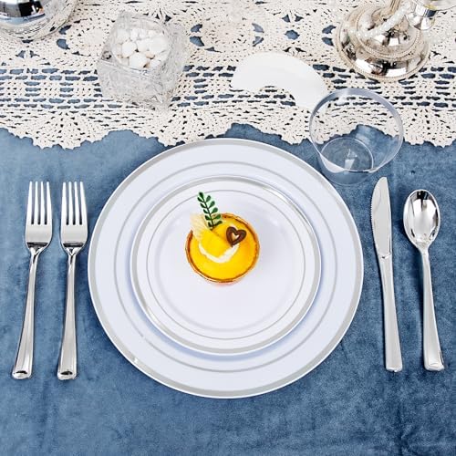 WELLIFE 600 PCS Silver Disposable Dinnerware Set for 100 Guests