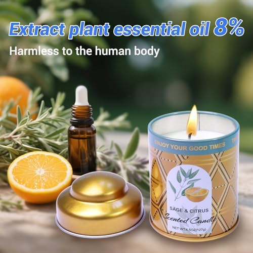 Sage Citrus Aromatherapy Candles 3-Pack for Relaxation and Sleep