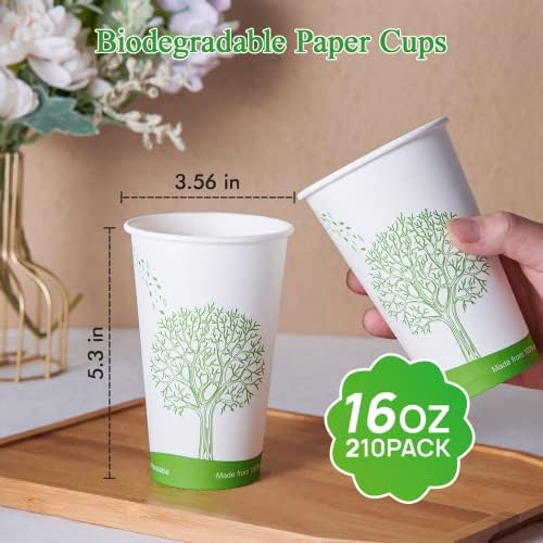 ECOLipak 210 Count 16 oz Compostable Cups