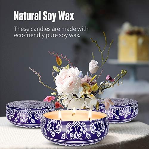 Hausware Citronella Candles 3 Pack Soy Wax Outdoor Indoor