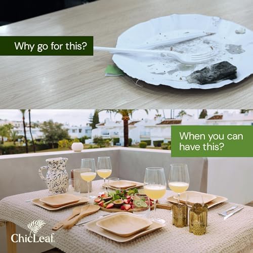 Chic Leaf Compostable Bamboo Plates 10 7 Inch Square