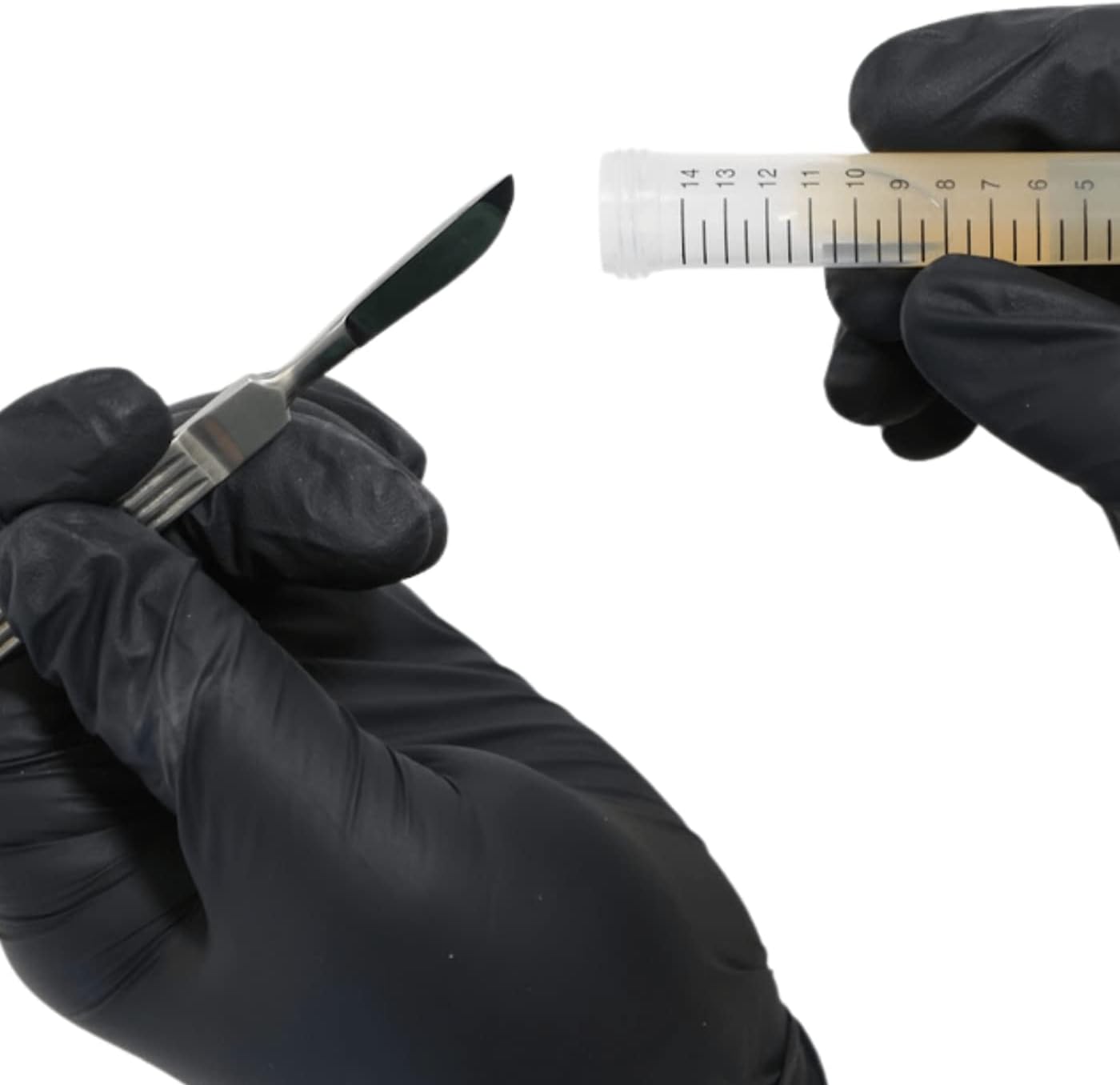 North Spore 100 Ct Black Nitrile Lab Gloves