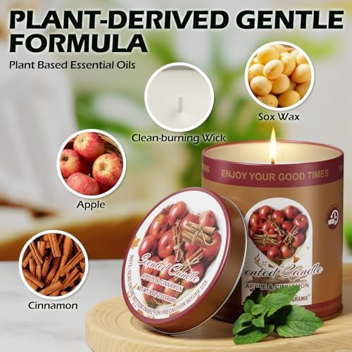 Apple Cinnamon Scented Candle Set 2 Pack