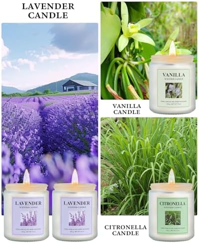 Lavender Sage Citronella Aromatherapy Candle Set 4 Pack