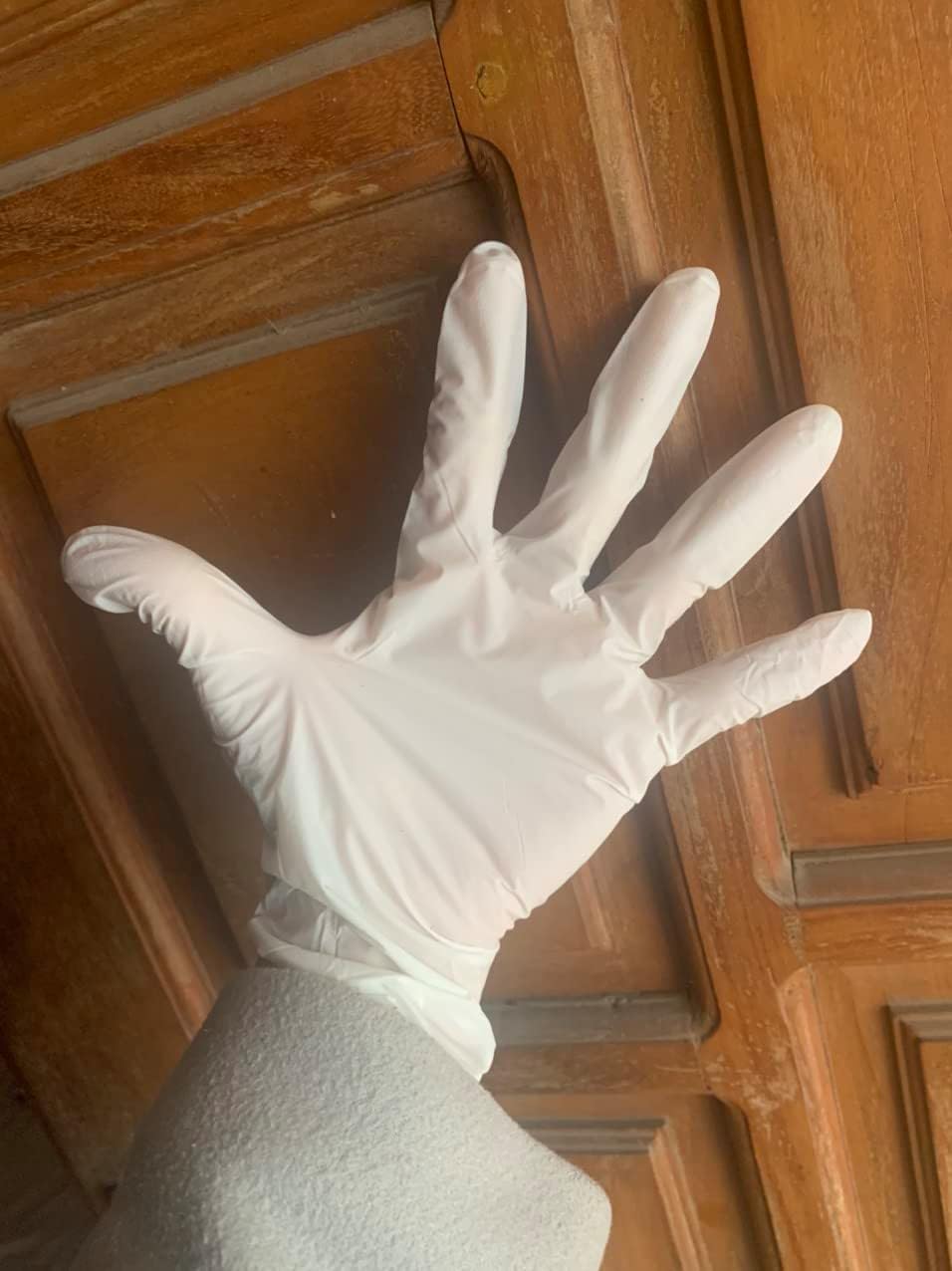 SSG Disposable Hand Protection Gloves 100 PcsBx White Large