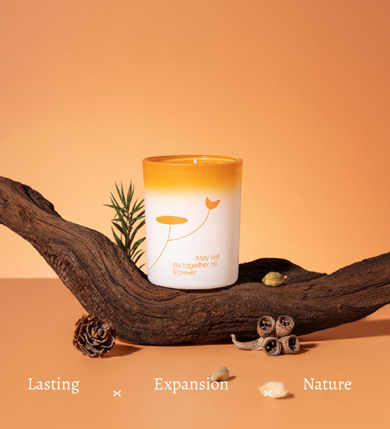 T-shin Scented Candle White Tea 150G Fresh Garden