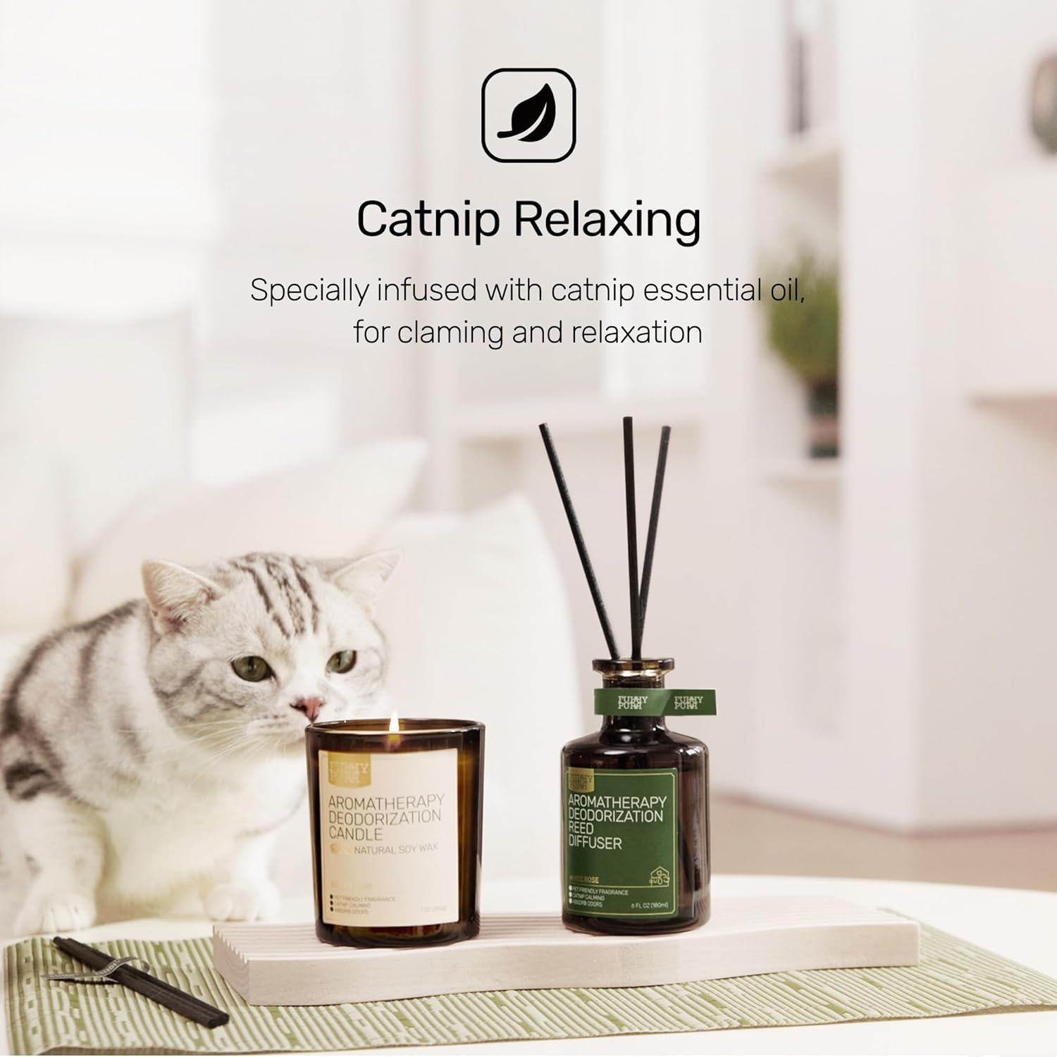 Berry Rum Scented Pet-Friendly Candle