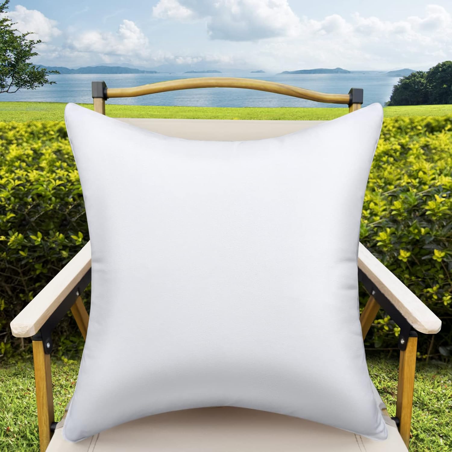 20x20 Waterproof Pillow Insert Set of 1