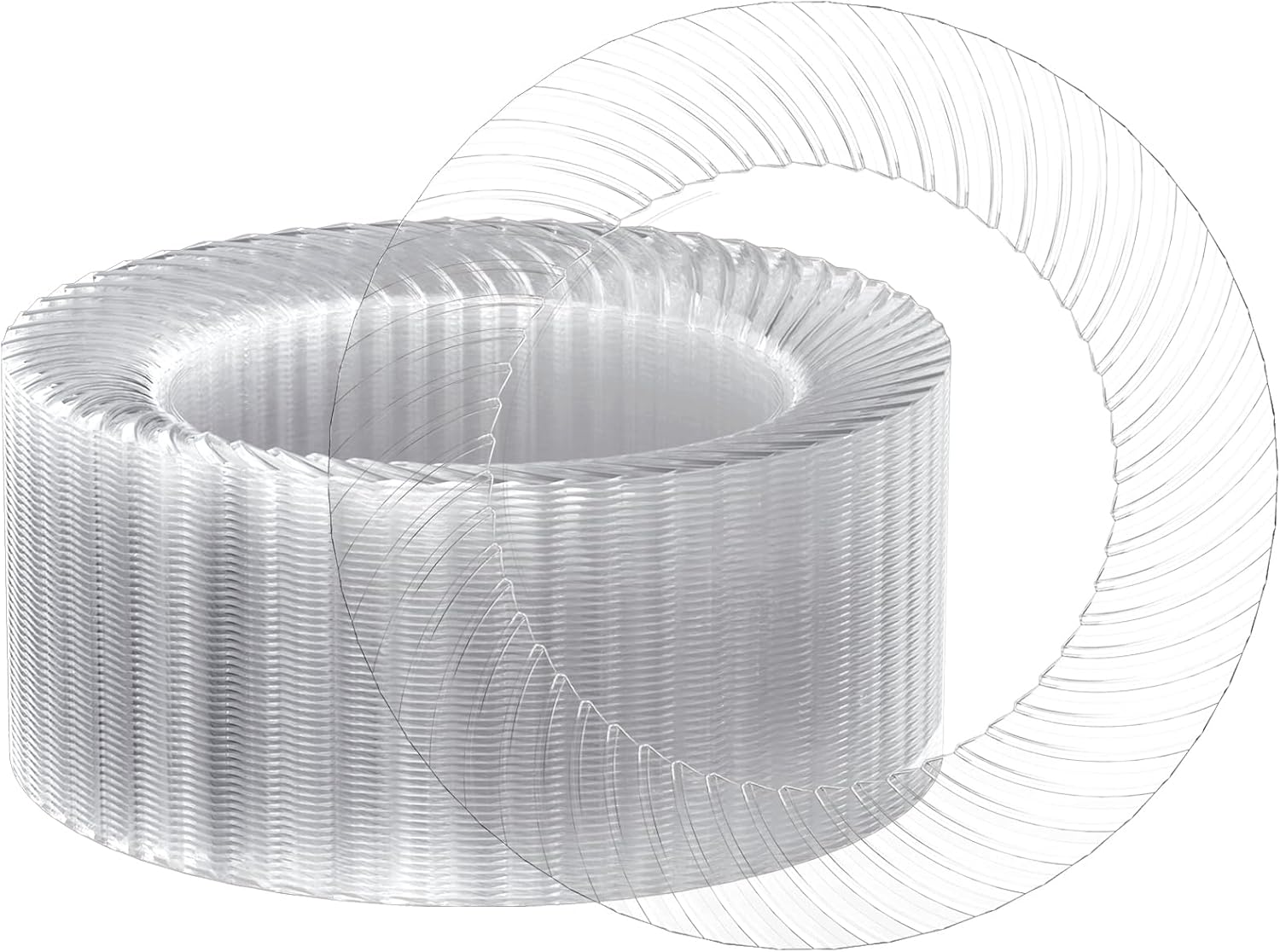 FOCUSLINE 10 Inch Clear Plastic Plates 100 Count