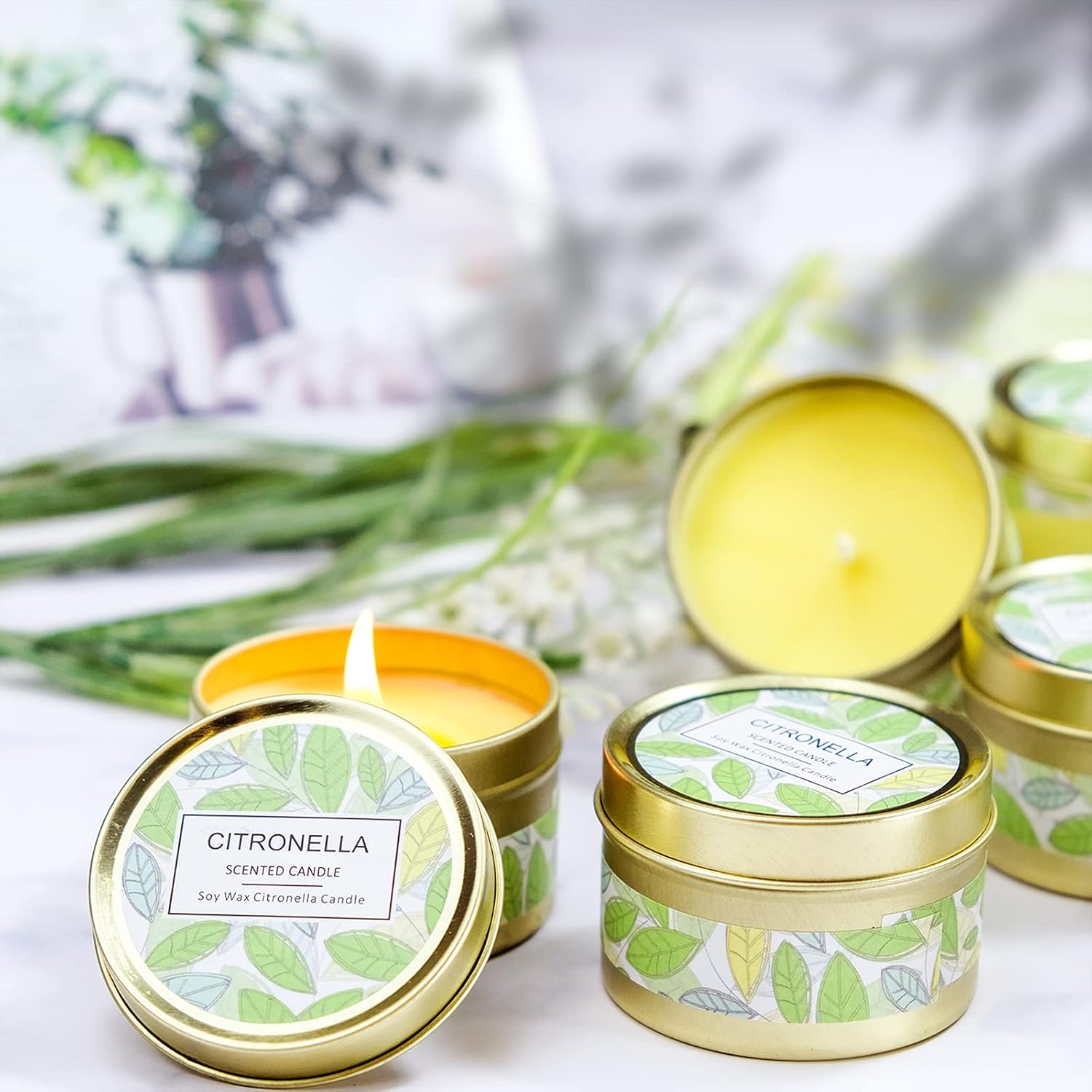 SCENTORINI Citronella Candles Outdoor Gift Set 6 Pack