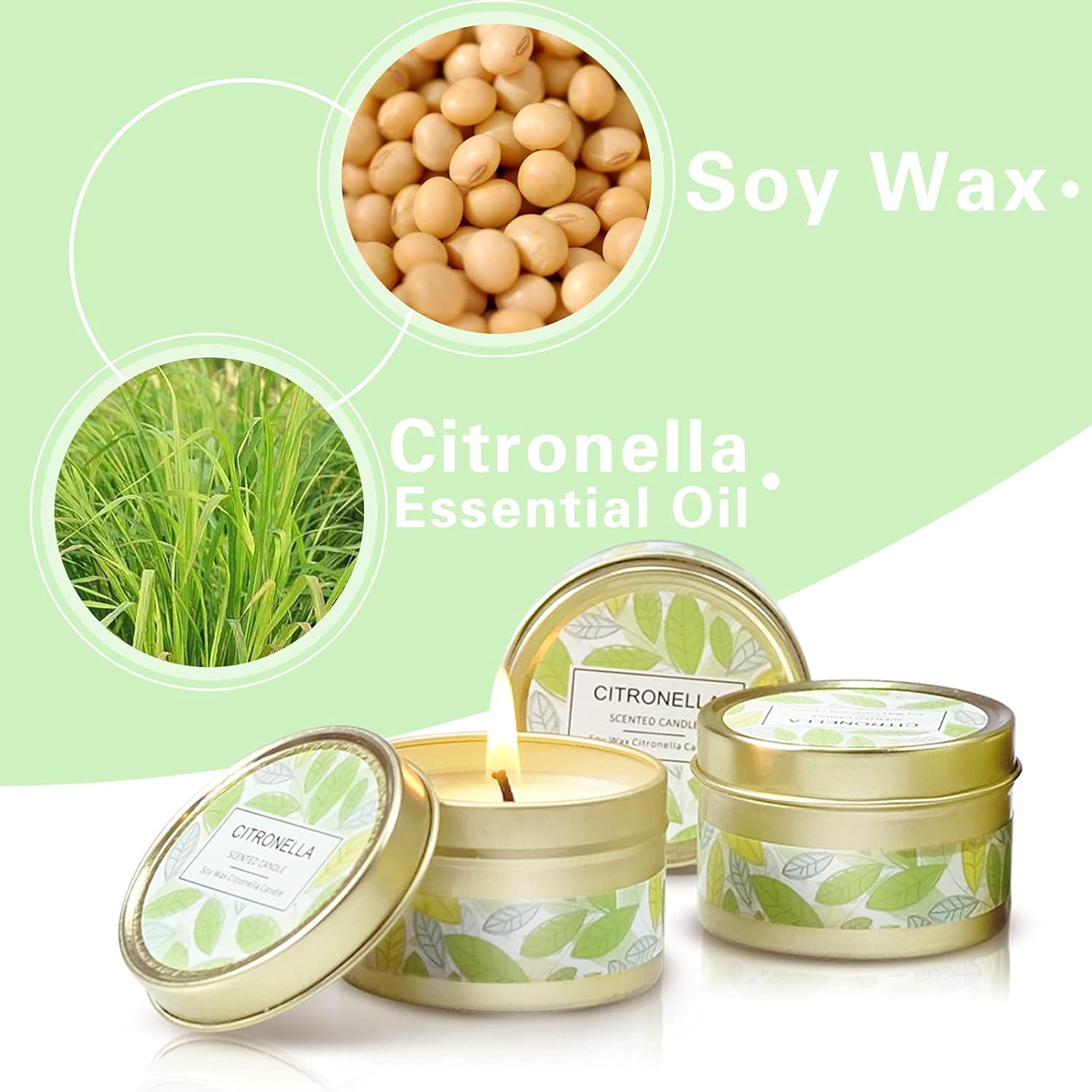 SCENTORINI Citronella Candles Outdoor Gift Set 6 Pack