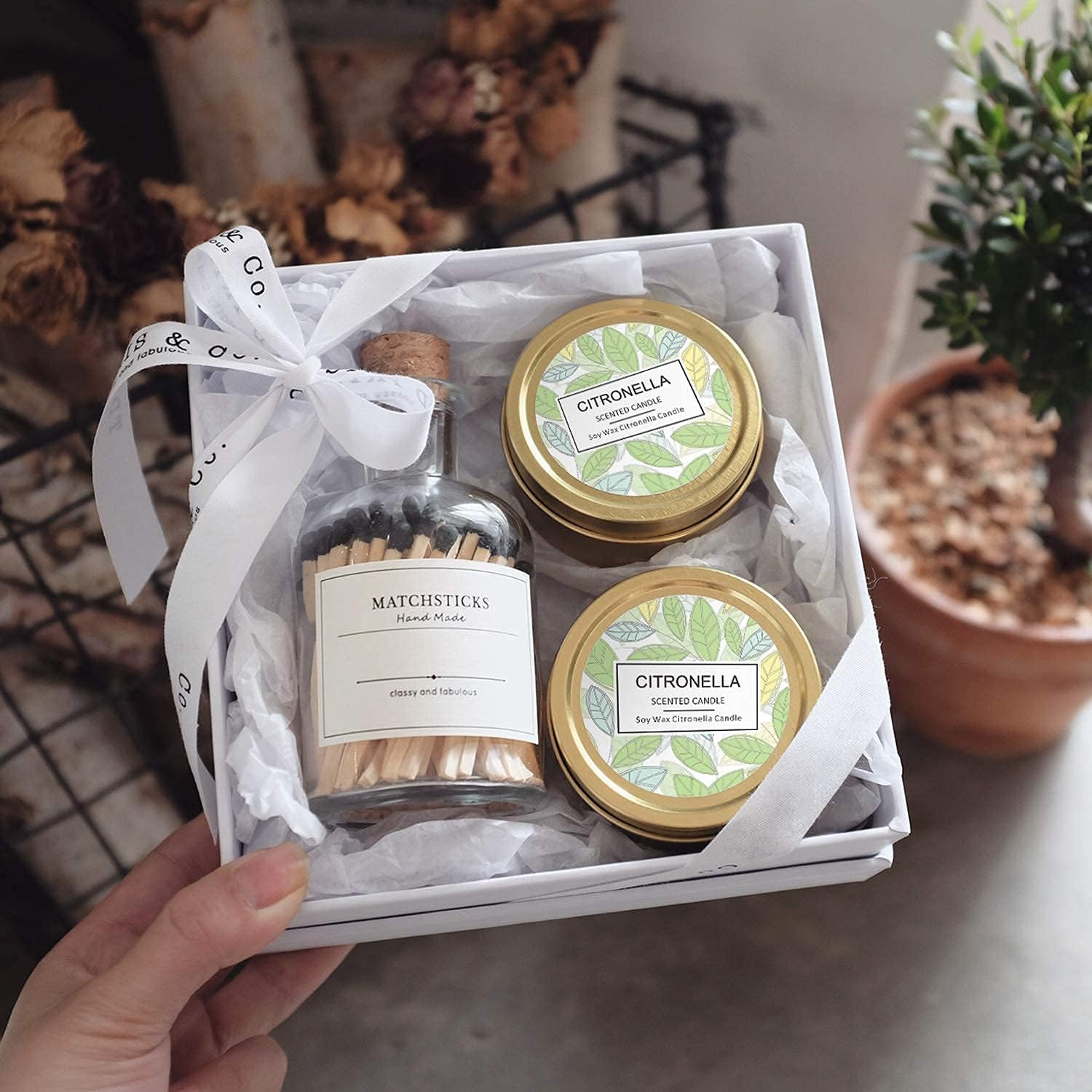 SCENTORINI Citronella Candles Outdoor Gift Set 6 Pack