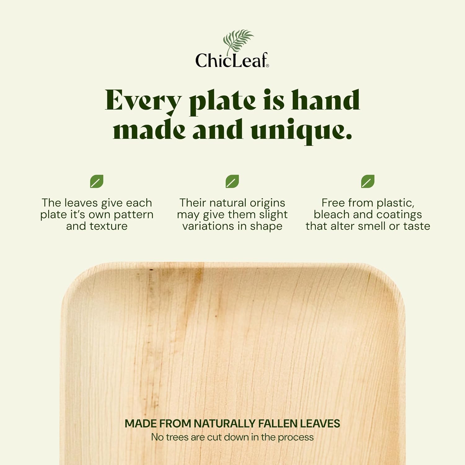 Chic Leaf Compostable Bamboo Plates 10 7 Inch Square