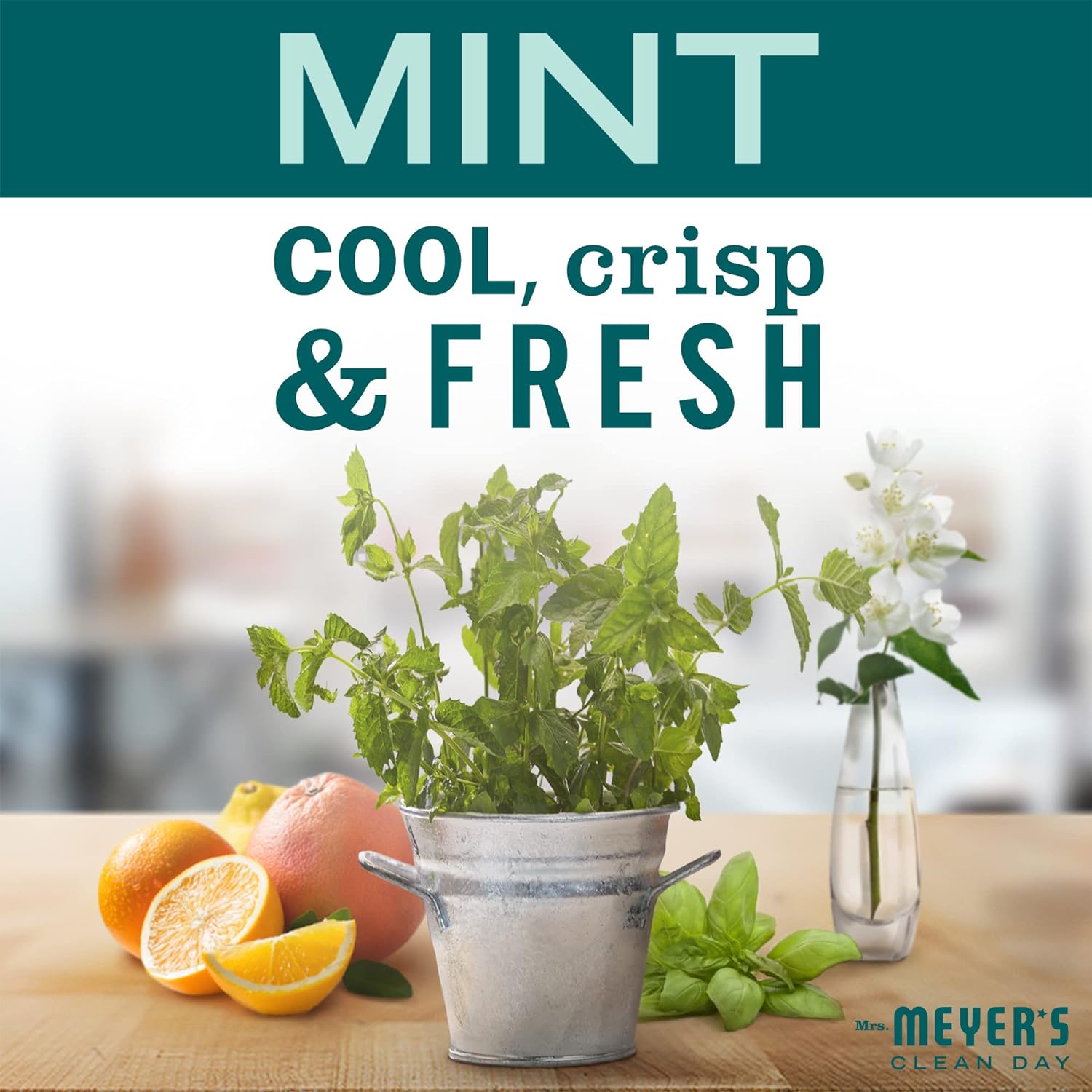 Mrs Meyers Clean Day Mint Soy Candle 12 Hour Burn